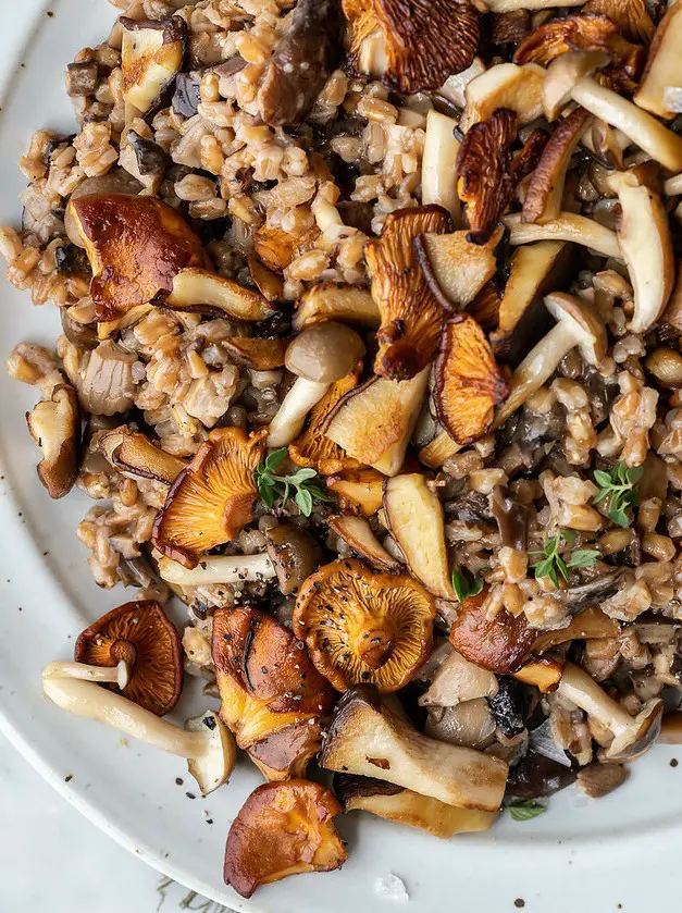 Farro Mushroom Risotto