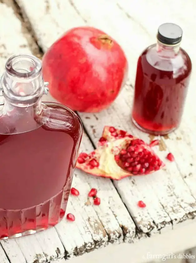 Pomegranate Shrub