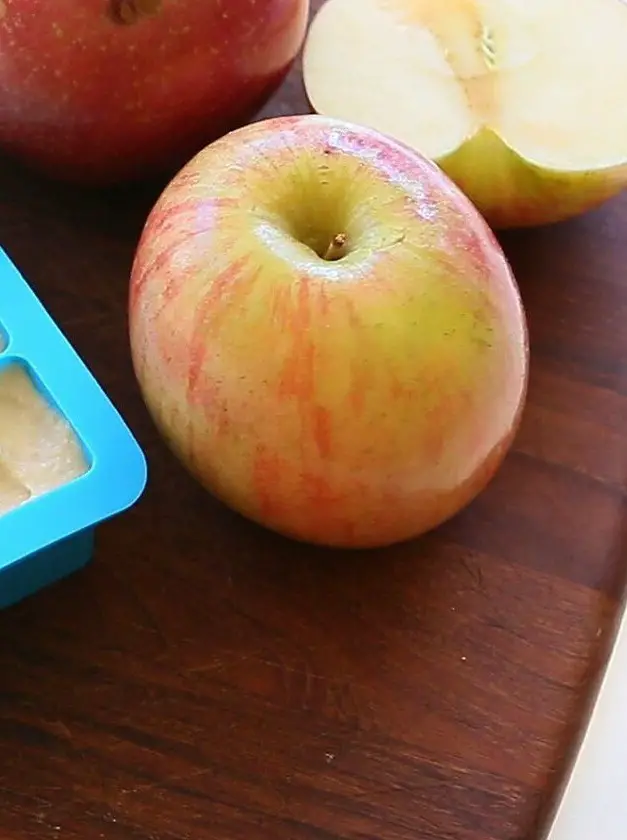 Basic Chicken & Apple Baby Food