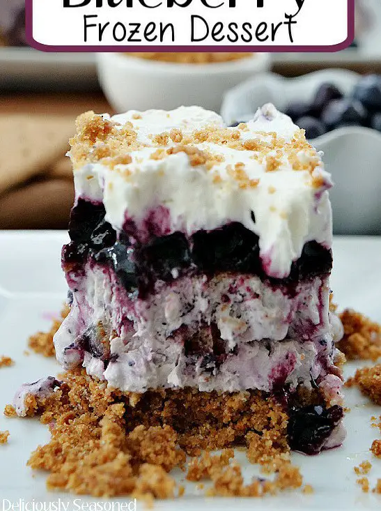 Frozen Blueberry Dessert