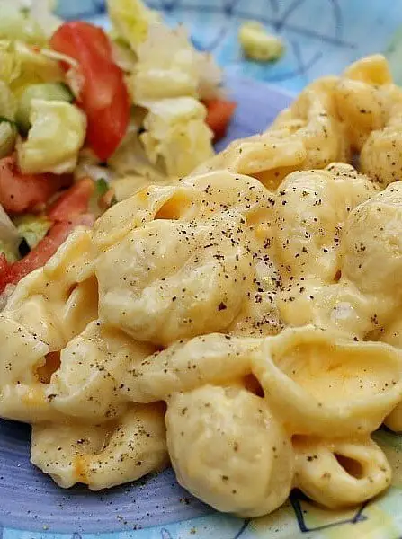 Stovetop Creamy Macaroni & Cheese