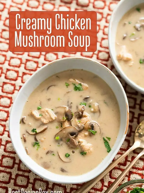 Creamy Chicken Mushroom Soup