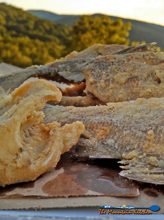 Fried White Perch