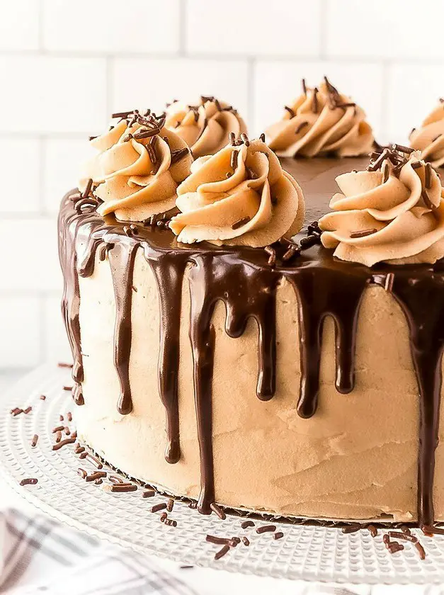 Chocolate Cookie Butter Cake