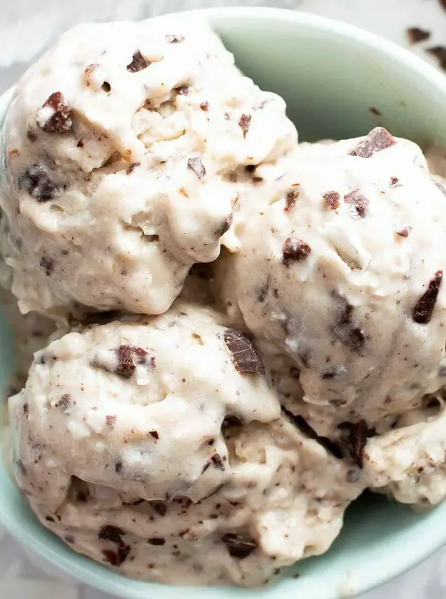 Coconut Chocolate Chip Vegan Ice Cream