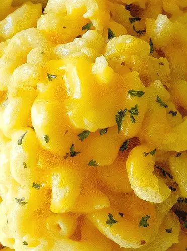 Three Cheese Macaroni and Cheese