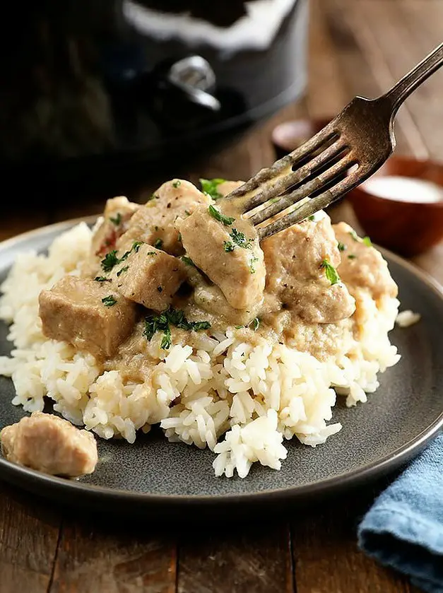 Slow Cooker Pork Tips