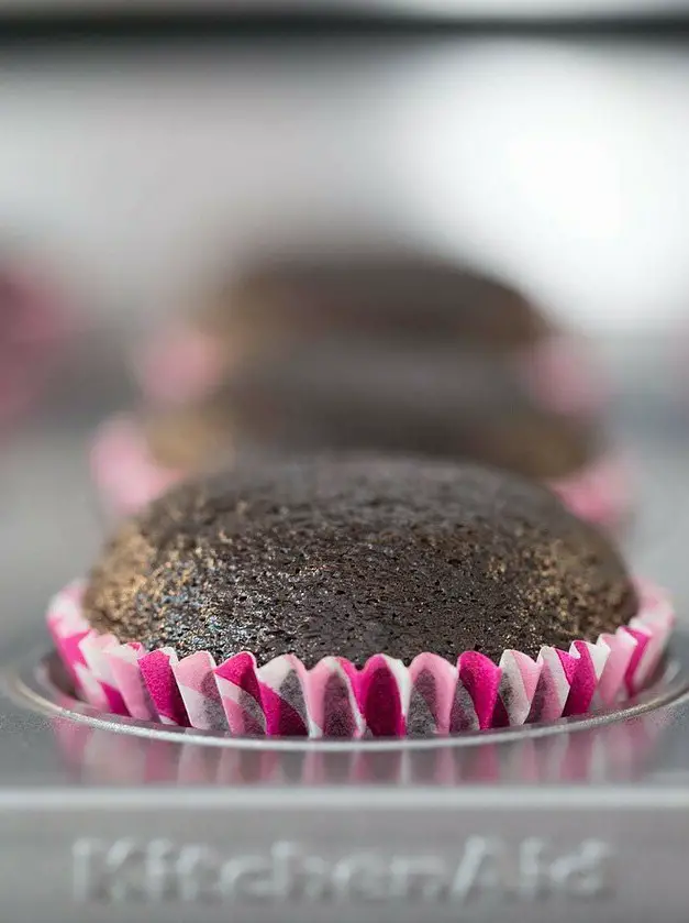 One-Bowl Easy Chocolate Cupcakes