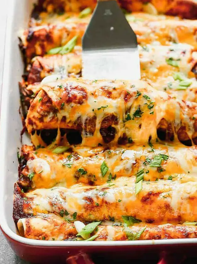 Shredded Beef Enchiladas