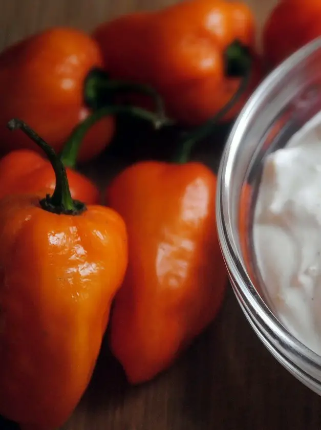 Garlic Habanero Sour Cream