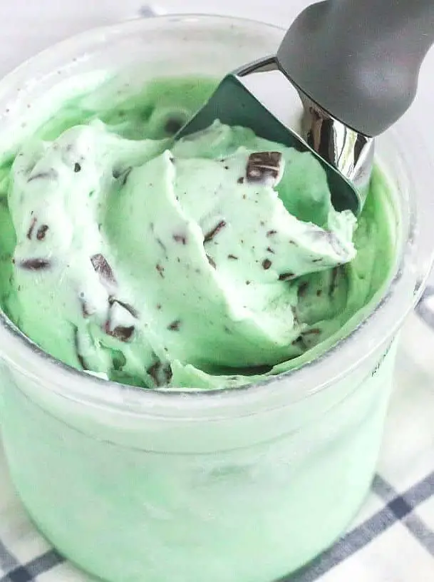 Ninja Creami Mint Chocolate Chip Ice Cream