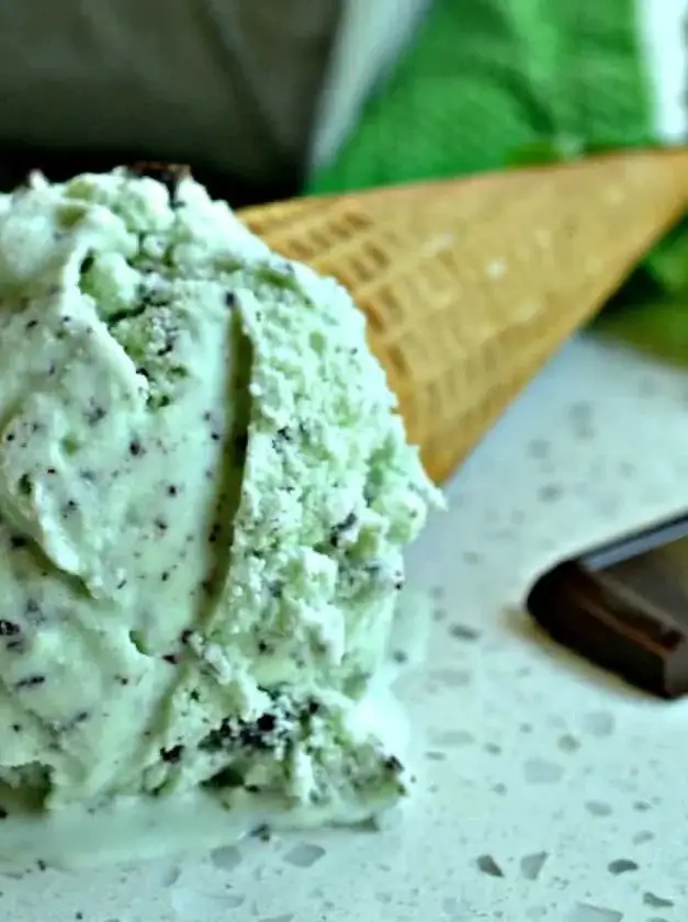 Mint Chocolate Chip Ice Cream