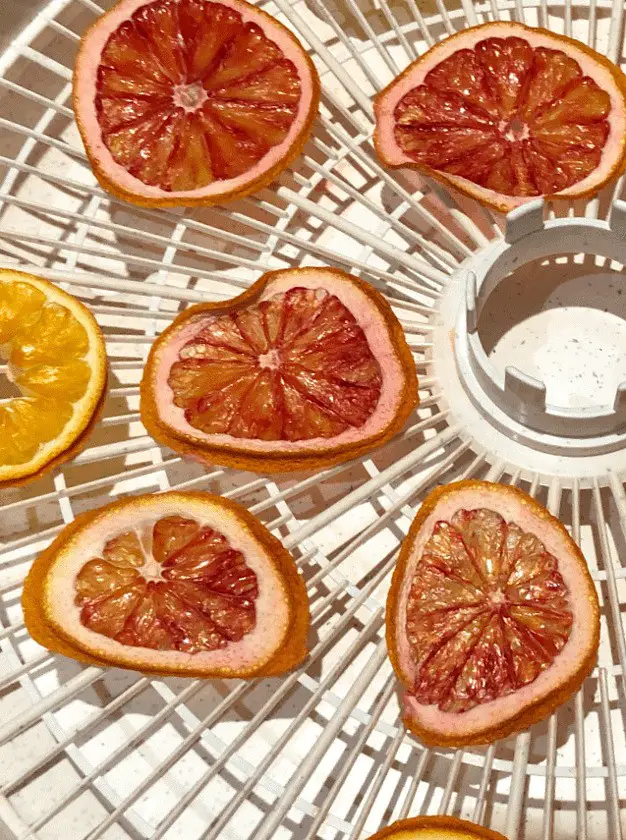 Dehydrated Oranges