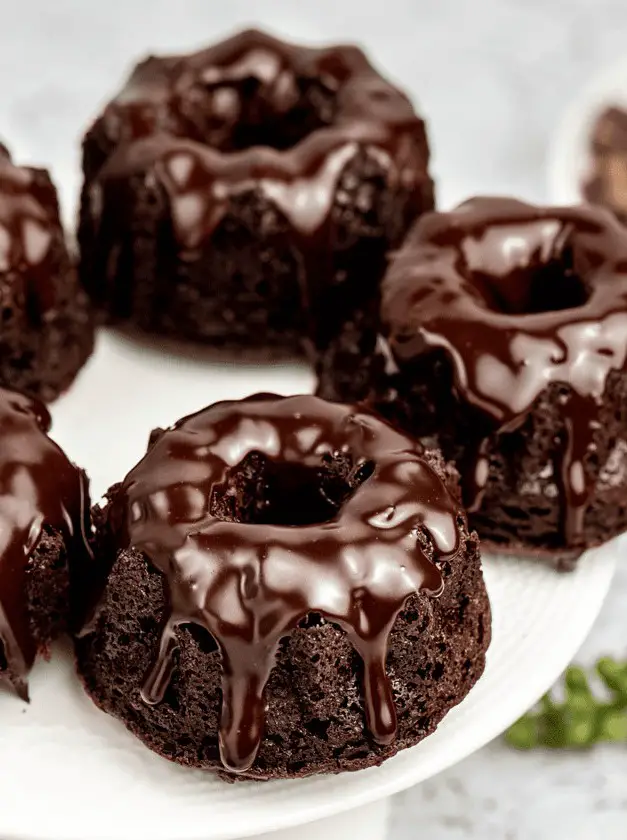 Mini Chocolate Bundt Cakes