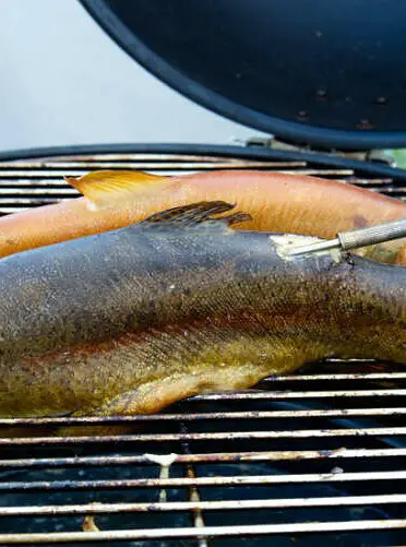 Warm Smoked Trout