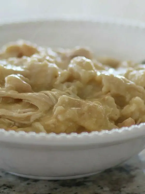 Slow Cooker Chicken and Dumplings