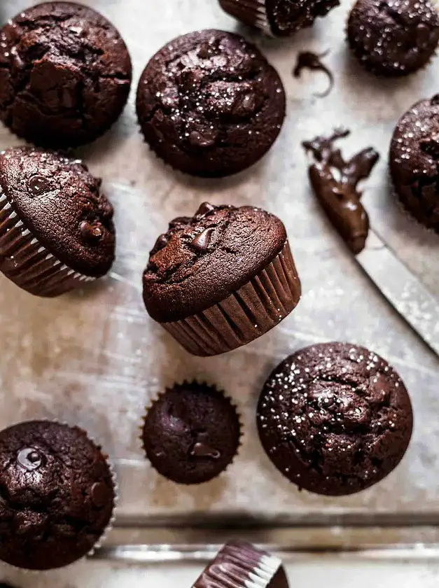 Chocolate Muffins with Chocolate Chips