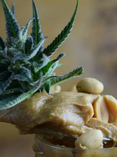 Cannabis Peanut Butter