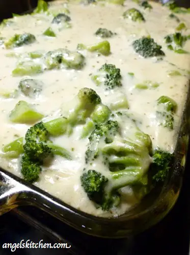 Gluten Free Dairy Free Chicken and Broccoli Casserole