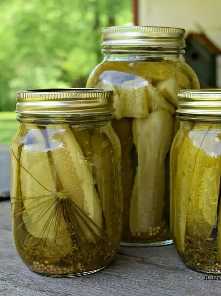 Dill Pickles