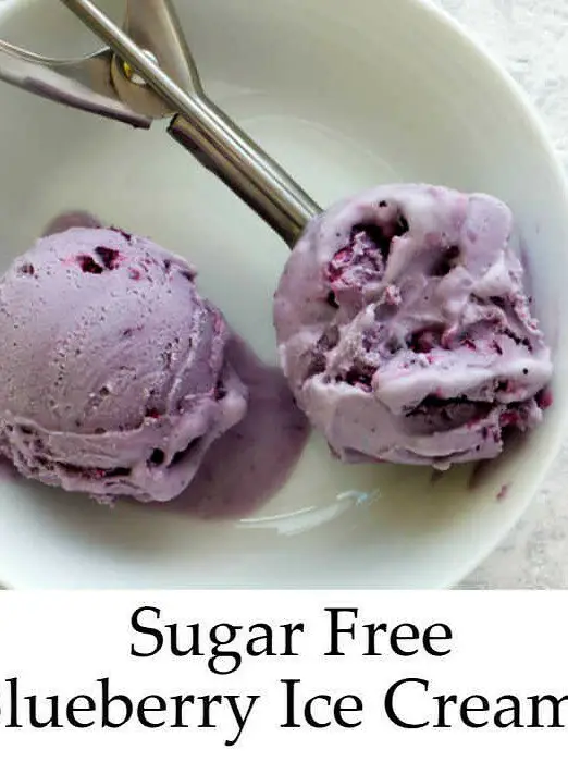 Sugar Free Blueberry Ice Cream