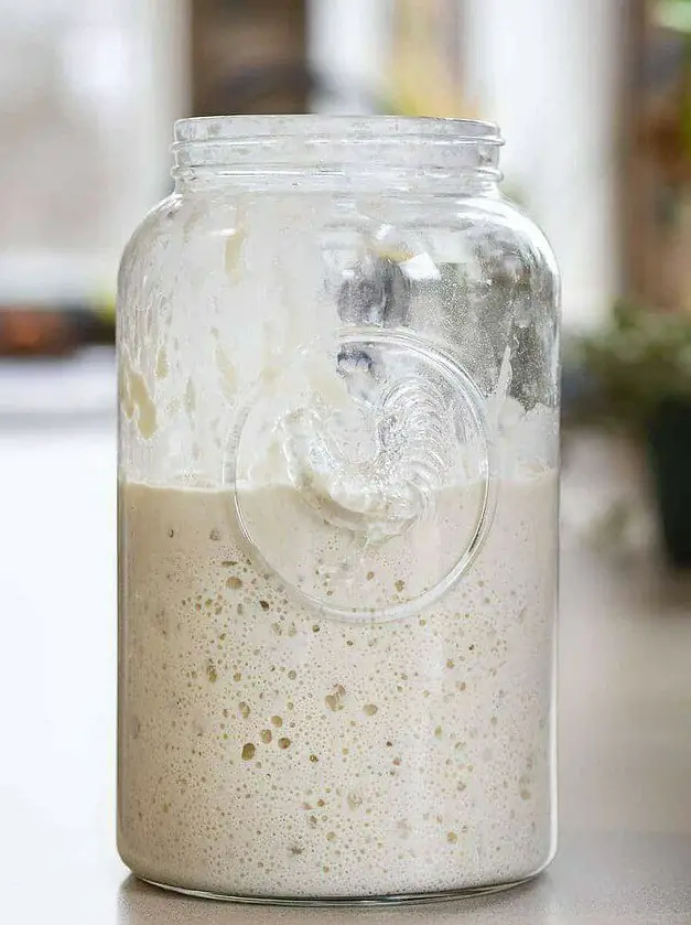 Sourdough Starter