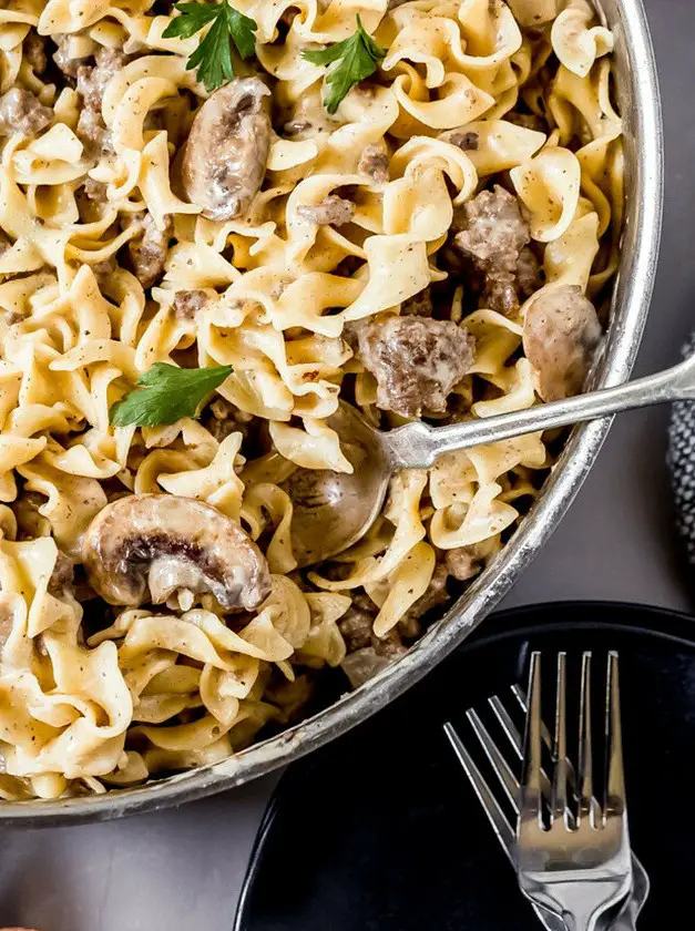 Ground Elk Stroganoff