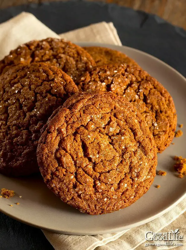 Old Fashioned Gingersnaps