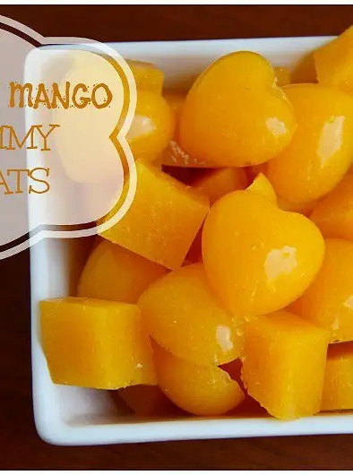 Coconut Mango Gummy Snacks