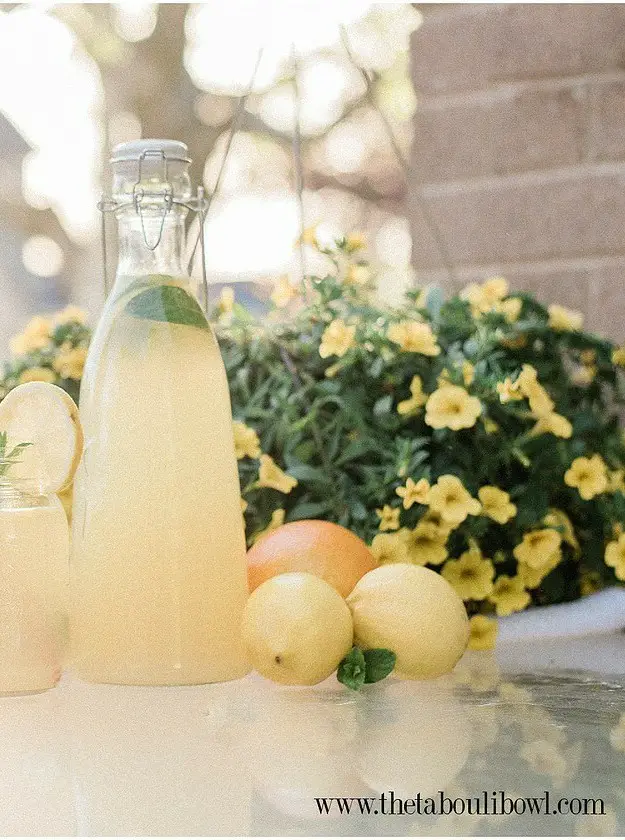 Lebanese Lemonade