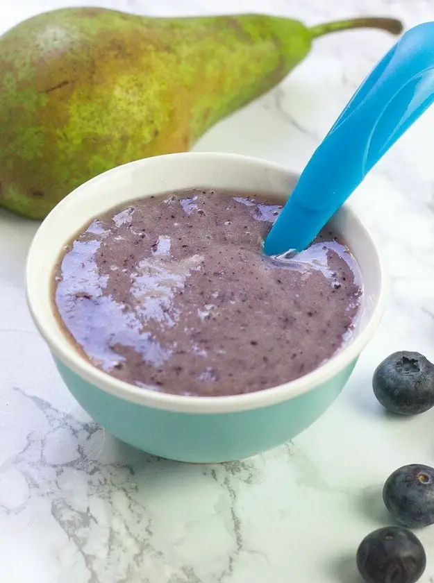 Blueberry Baby Puree