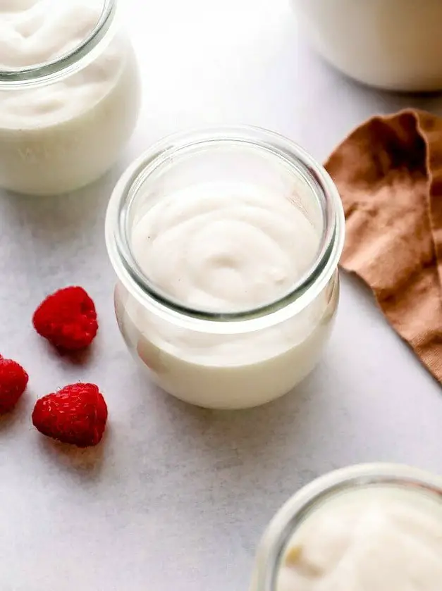 Homemade Vegan Greek Yogurt