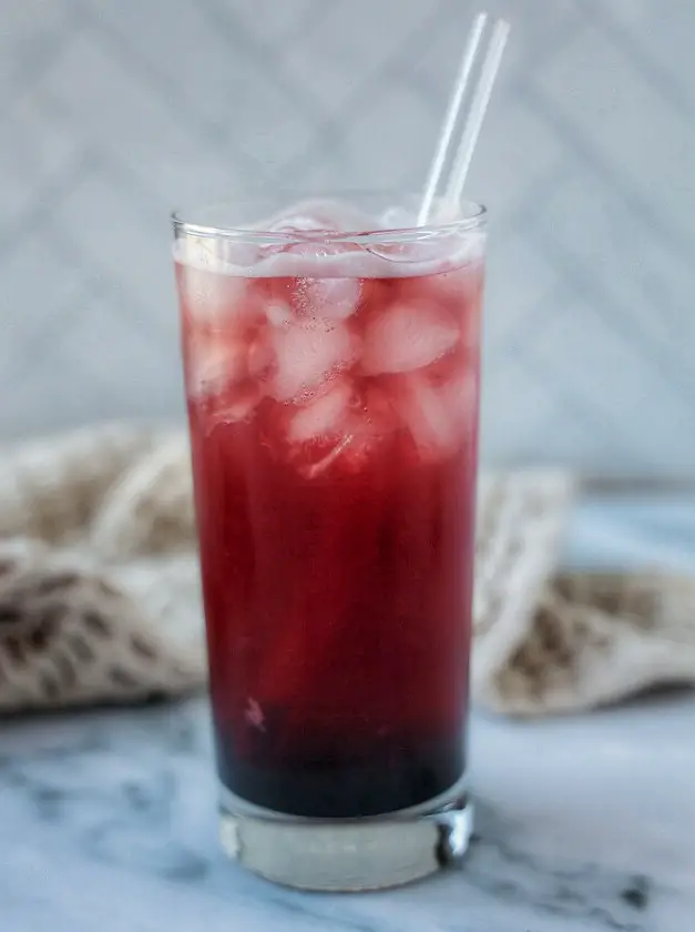 Elderberry Mocktail