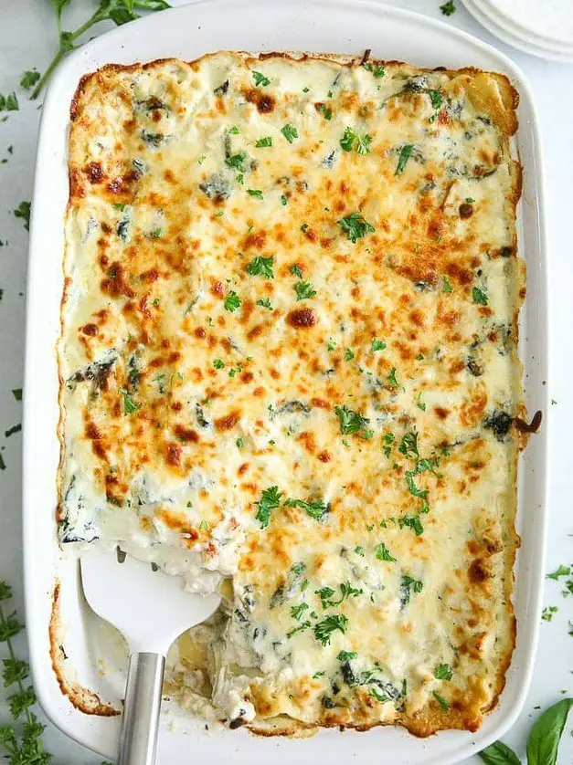 Chicken Alfredo Lasagna