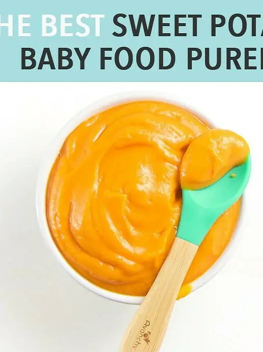 Sweet Potato Baby Food