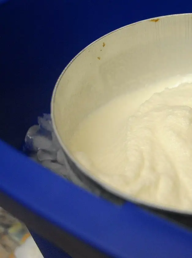 Low Fat Homemade Vanilla Ice Cream