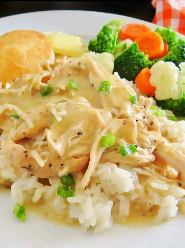 Crock Pot Chicken and Gravy