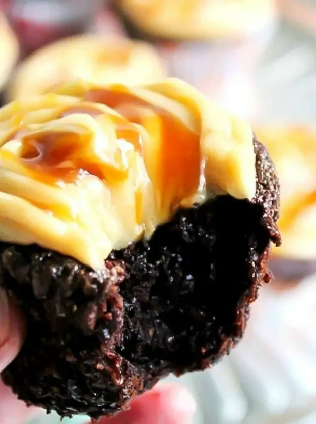 Gluten-Free Vegan Chocolate Cupcakes