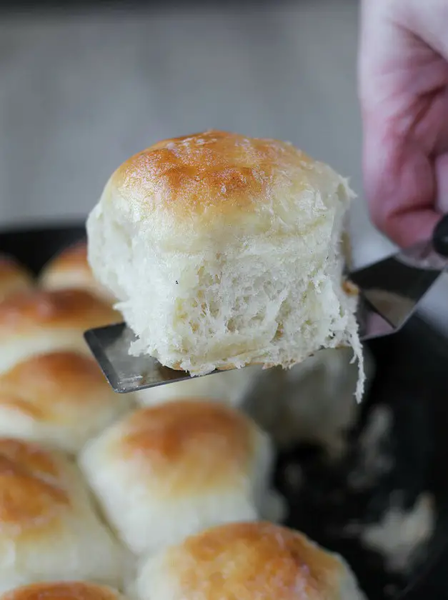 Sourdough Discard Dinner Rolls