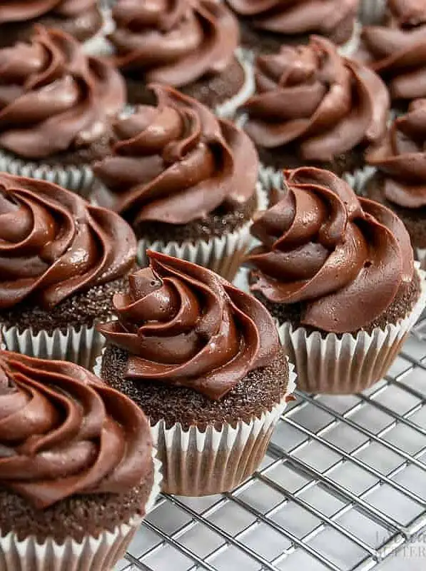 Chocolate Mini Cupcakes