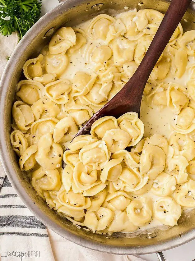 Creamy Cheese Tortellini