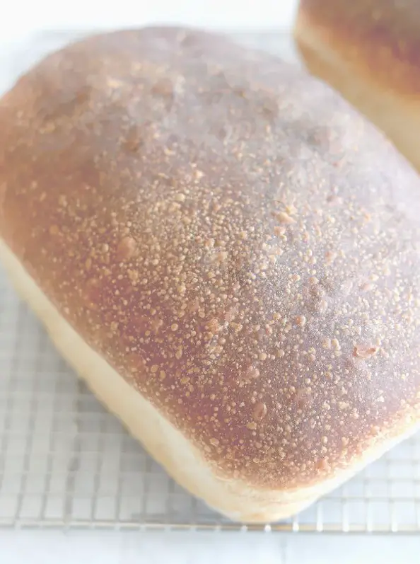 Natural Yeast Sourdough Sandwich Bread