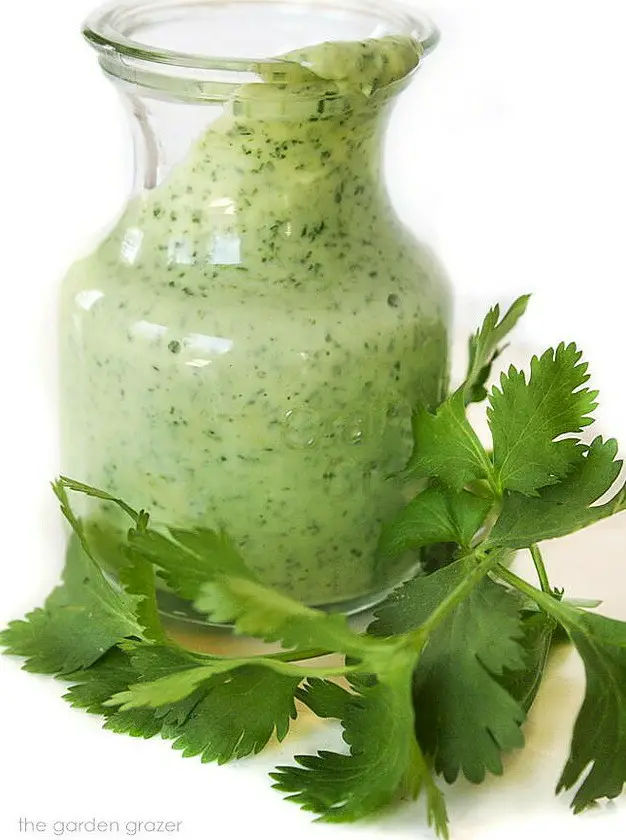 Creamy Cilantro-Lime Dressing