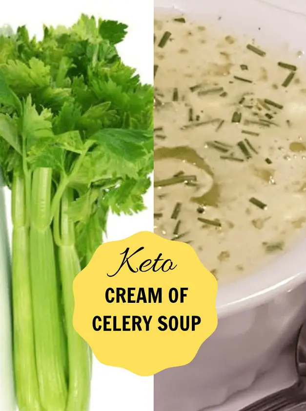 Cream of Celery Soup