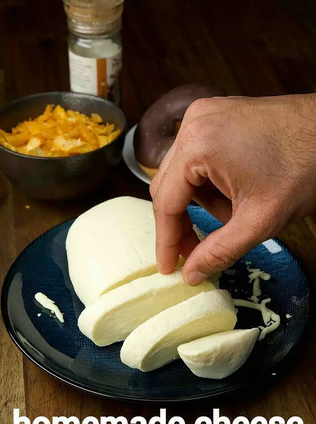 Mozzarella Cheese