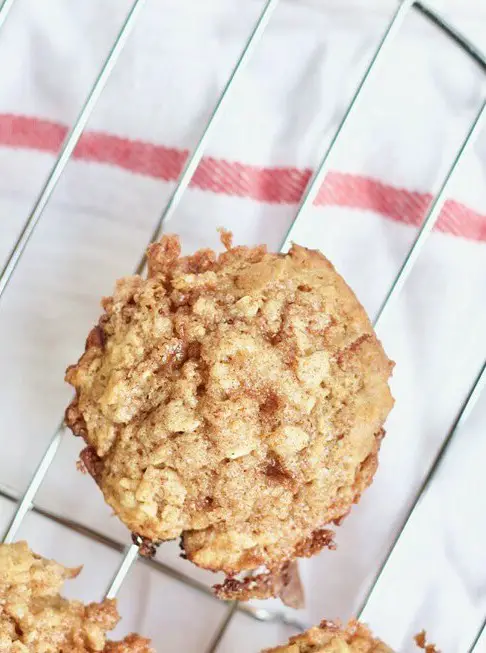 Apple Cinnamon Oatmeal Muffins