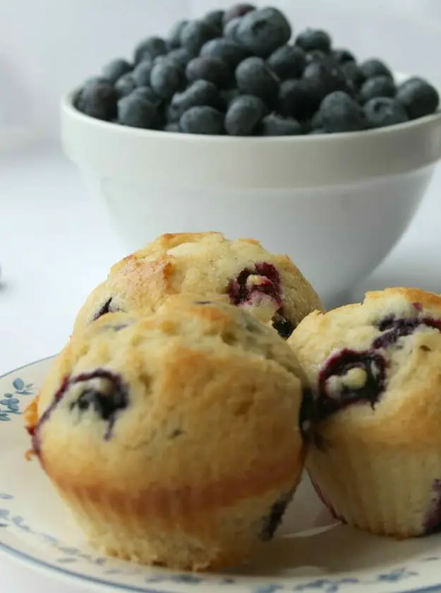 Easy Blueberry Muffins