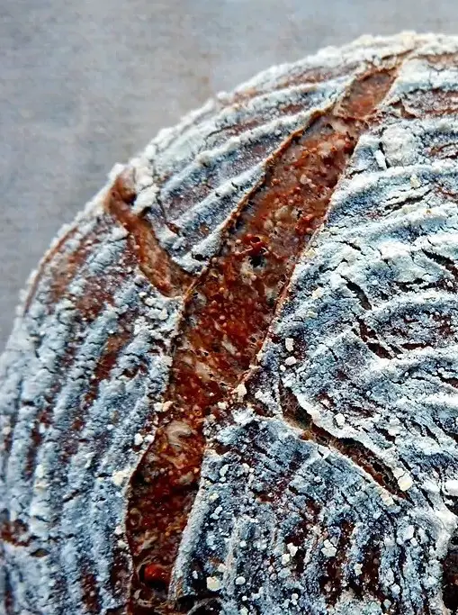 Amaranth Bread