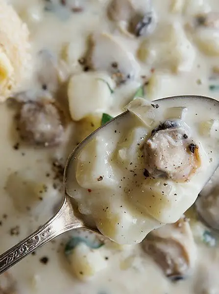 Fresh Clam Chowder