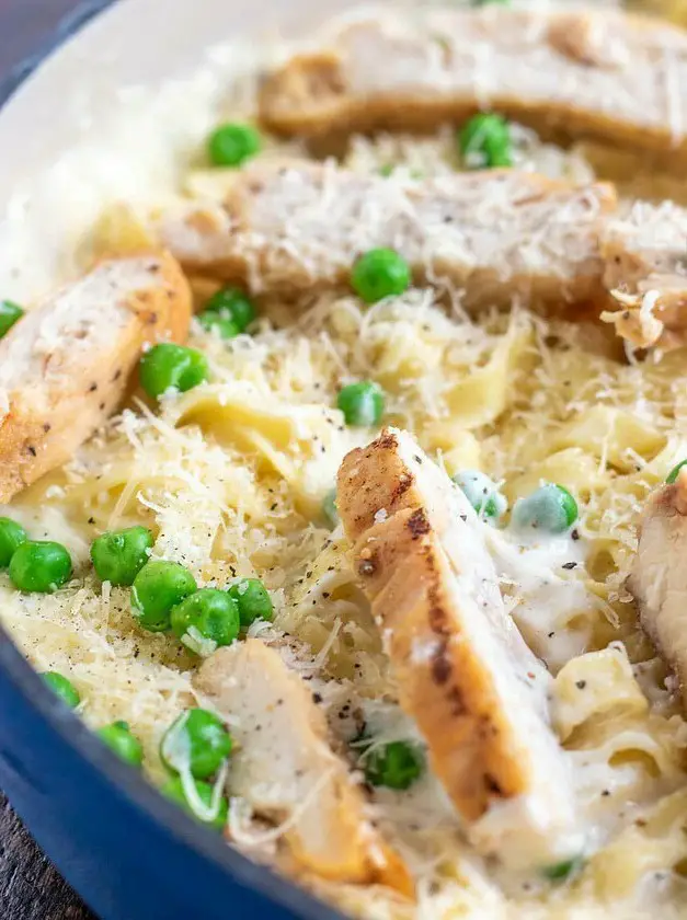 Chicken Alfredo Pasta